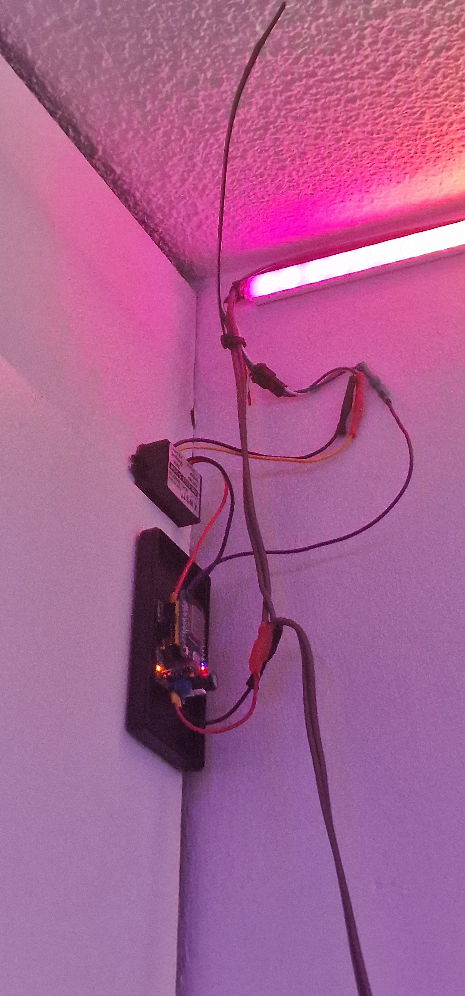 20220904_145153.jpg